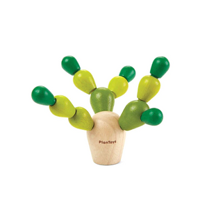 CACTO EM EQUILÍBRIO
