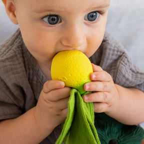 MINI DOUDOU E MORDEDOR  - JOHN LEMON